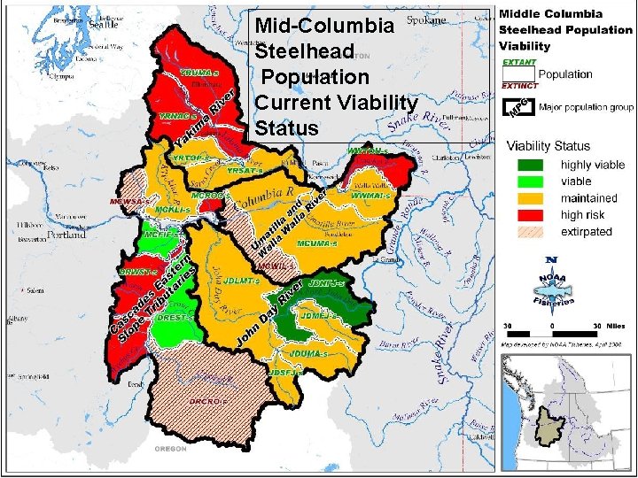 Mid-Columbia Steelhead Population Current Viability Status 4 