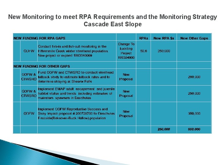 New Monitoring to meet RPA Requirements and the Monitoring Strategy Cascade East Slope 