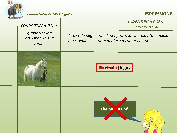 L’ESPRESSIONE Lettura strutturale della fotografia CONOSCENZA «VERA» quando l’idea corrisponde alla realtà L’IDEA DELLA