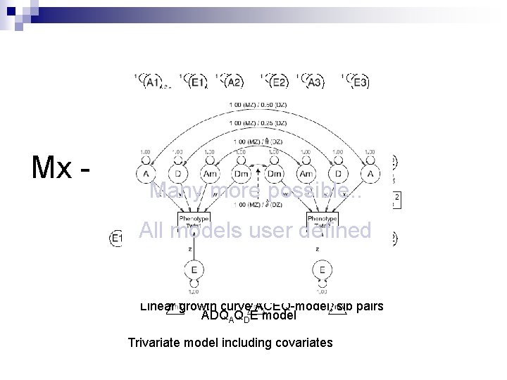 Mx - flexibility Many more possible. . All models user defined Univariate ADE model,