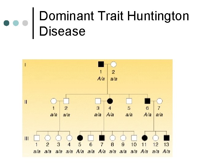 Dominant Trait Huntington Disease 