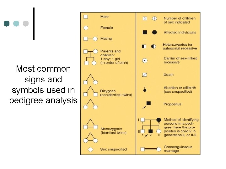 Most common signs and symbols used in pedigree analysis 