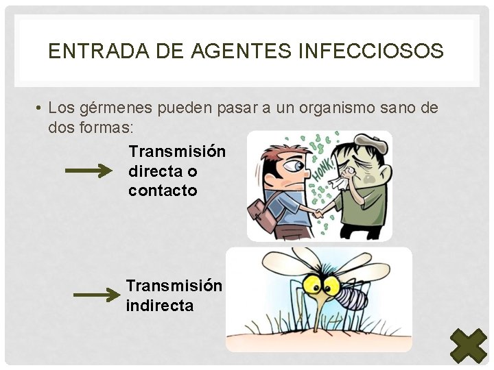 ENTRADA DE AGENTES INFECCIOSOS • Los gérmenes pueden pasar a un organismo sano de