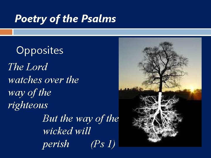 Poetry of the Psalms Opposites The Lord watches over the way of the righteous