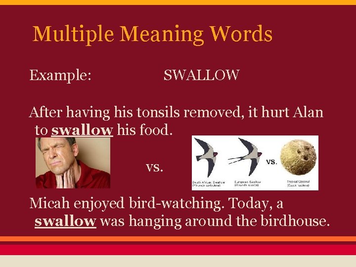 Multiple Meaning Words Example: SWALLOW After having his tonsils removed, it hurt Alan to