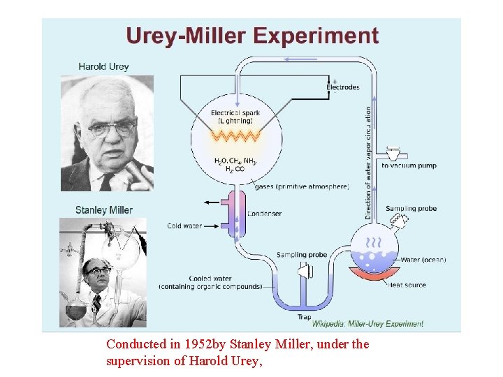 Conducted in 1952 by Stanley Miller, under the supervision of Harold Urey, 