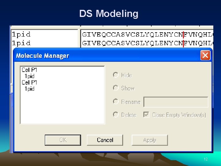 DS Modeling 12 