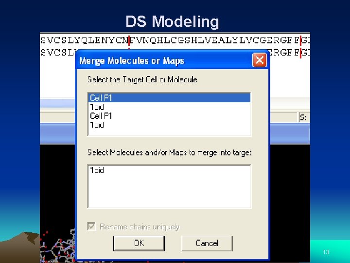DS Modeling 13 