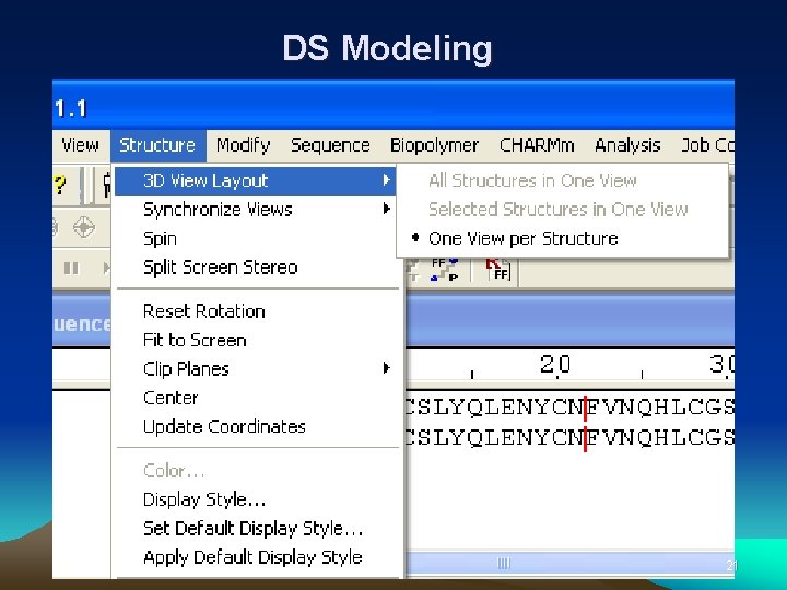 DS Modeling 21 