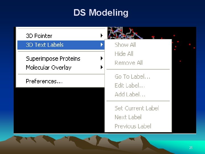 DS Modeling 25 
