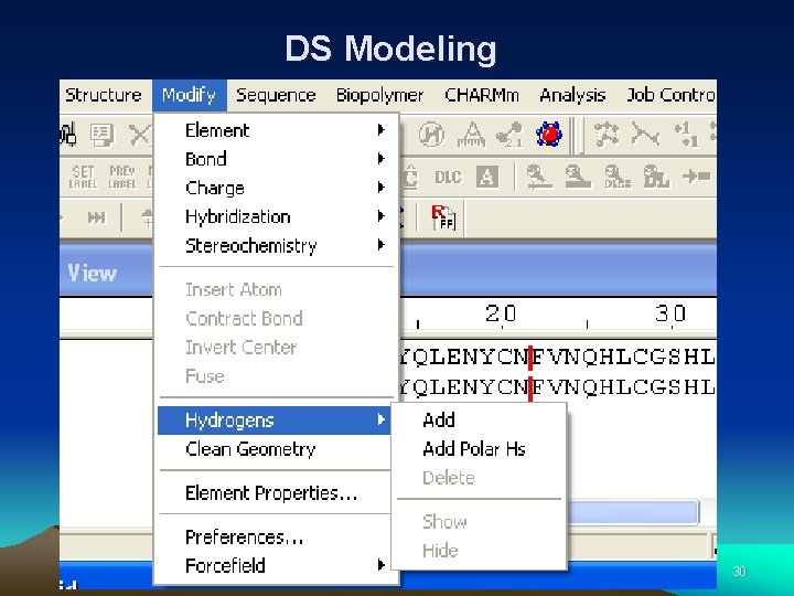 DS Modeling 30 