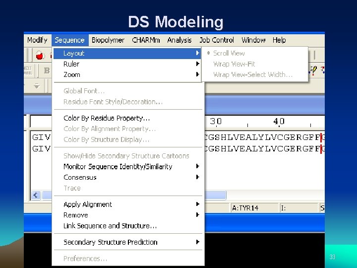 DS Modeling 33 