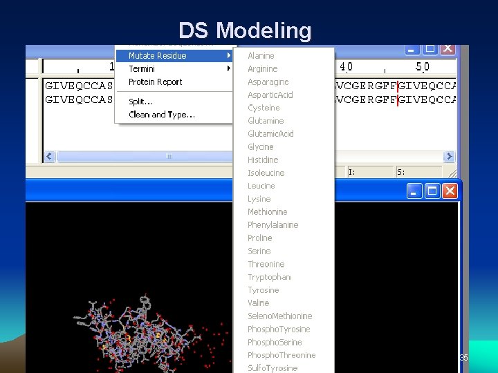 DS Modeling 35 