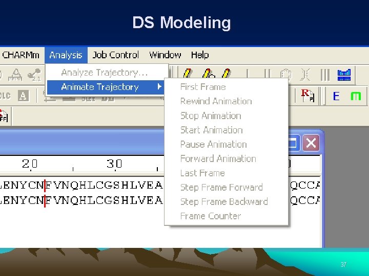 DS Modeling 37 