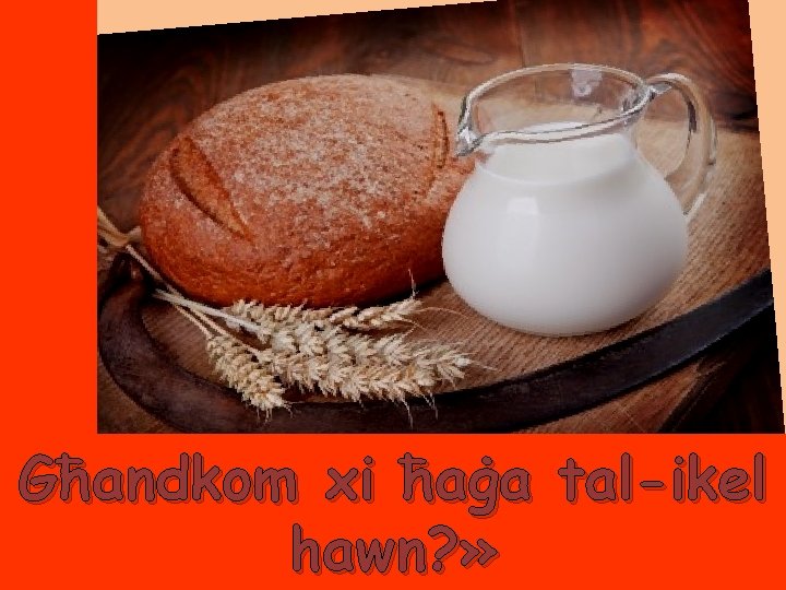 Għandkom xi ħaġa tal-ikel hawn? » 