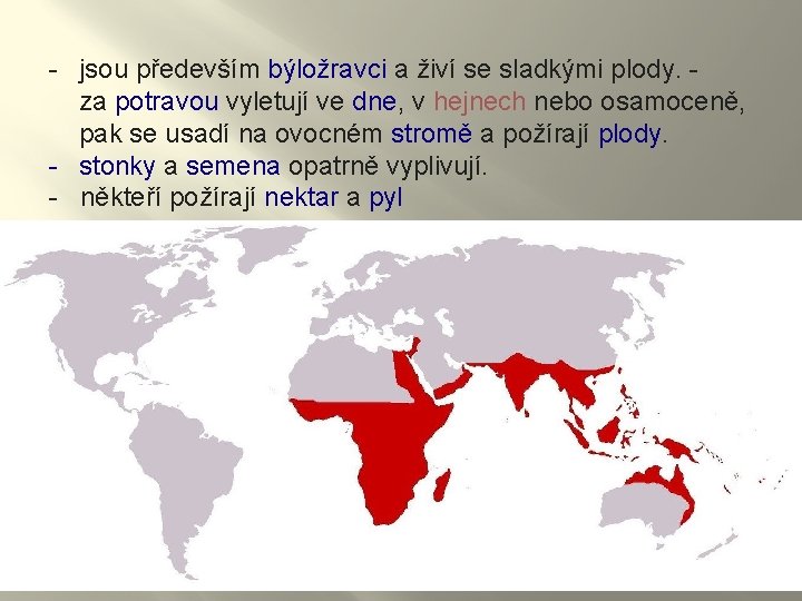 - jsou především býložravci a živí se sladkými plody. za potravou vyletují ve dne,