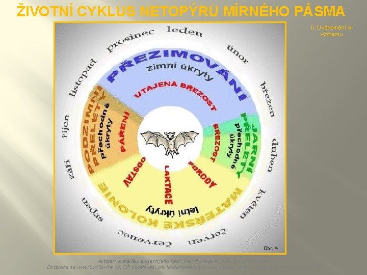 ŽIVOTNÍ CYKLUS NETOPÝRŮ MÍRNÉHO PÁSMA II. Uvědomění si významu Obr. 4 Autorem materiálu a