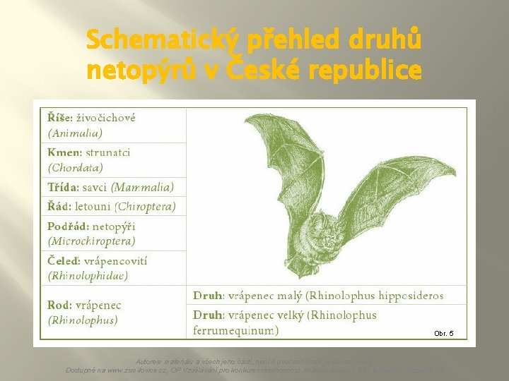 Schematický přehled druhů netopýrů v České republice Obr. 5 Autorem materiálu a všech jeho