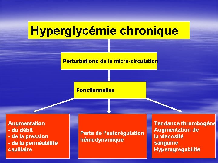 Hyperglycémie chronique Perturbations de la micro-circulation Fonctionnelles Augmentation - du débit - de la