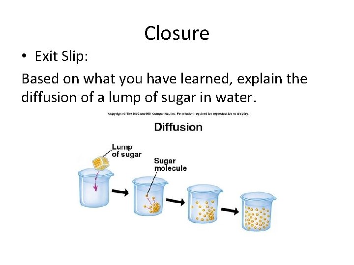 Closure • Exit Slip: Based on what you have learned, explain the diffusion of