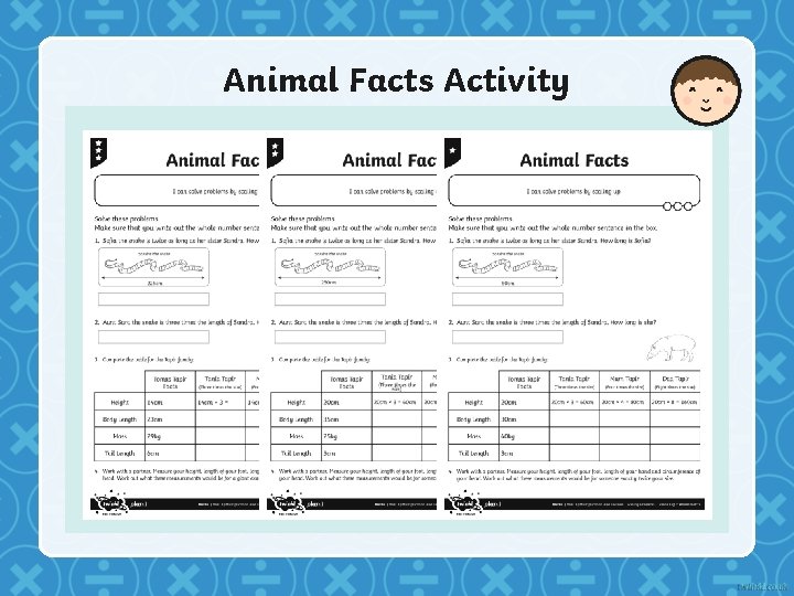 Animal Facts Activity 