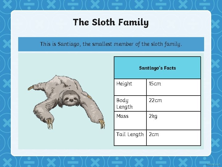 The Sloth Family This is Santiago, the smallest member of the sloth family. Santiago’s