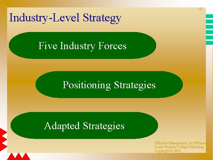 19 Industry-Level Strategy Five Industry Forces Positioning Strategies Adapted Strategies Effective Management, by Williams