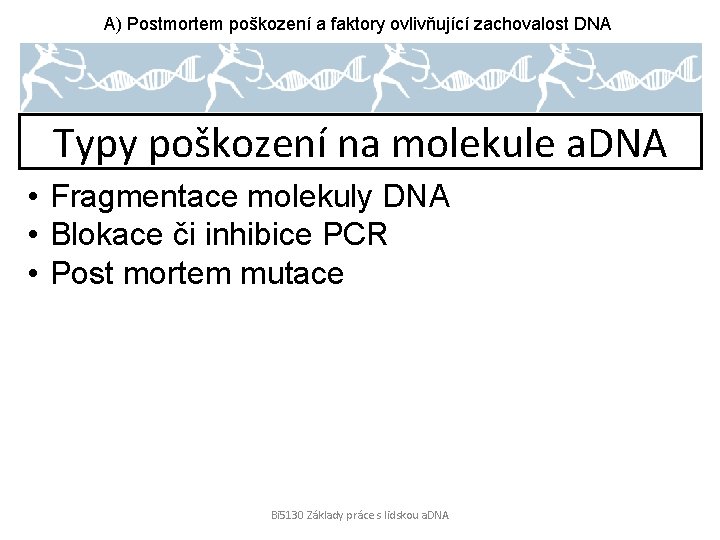 A) Postmortem poškození a faktory ovlivňující zachovalost DNA Typy poškození na molekule a. DNA