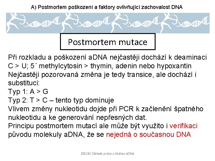 A) Postmortem poškození a faktory ovlivňující zachovalost DNA Postmortem mutace Při rozkladu a poškození