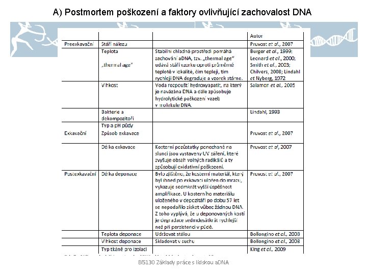 A) Postmortem poškození a faktory ovlivňující zachovalost DNA Bi 5130 Základy práce s lidskou
