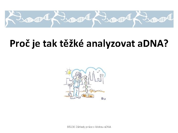 Proč je tak těžké analyzovat a. DNA? Bi 5130 Základy práce s lidskou a.