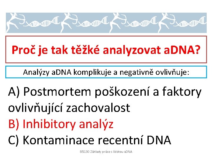 Proč je tak těžké analyzovat a. DNA? Analýzy a. DNA komplikuje a negativně ovlivňuje: