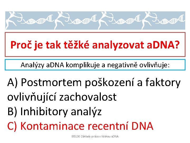 Proč je tak těžké analyzovat a. DNA? Analýzy a. DNA komplikuje a negativně ovlivňuje: