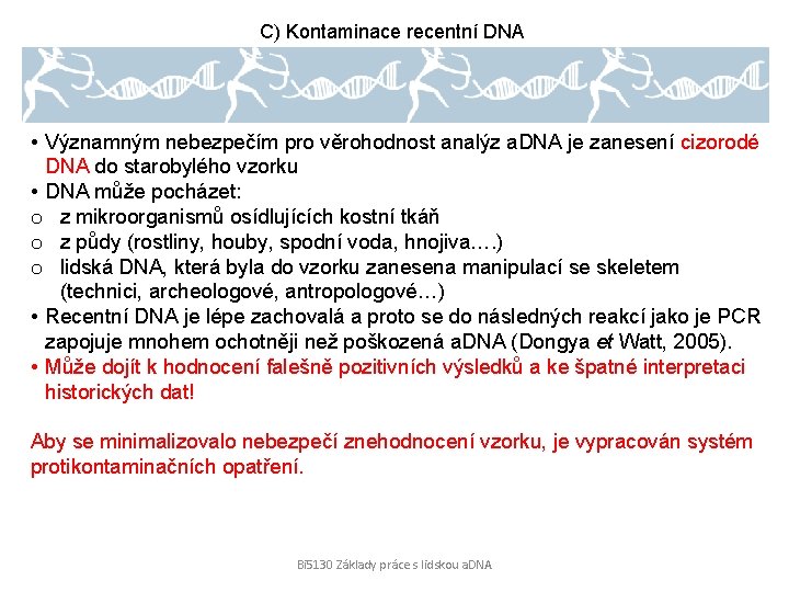 C) Kontaminace recentní DNA • Významným nebezpečím pro věrohodnost analýz a. DNA je zanesení