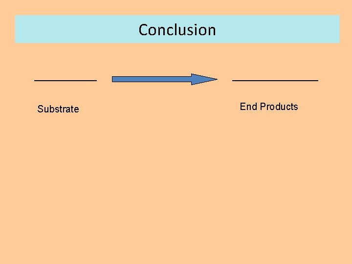 Conclusion ____ Substrate ______ End Products 