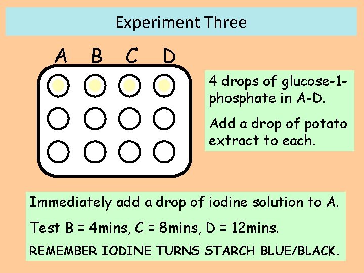 Experiment Three A B C D 4 drops of glucose-1 phosphate in A-D. Add