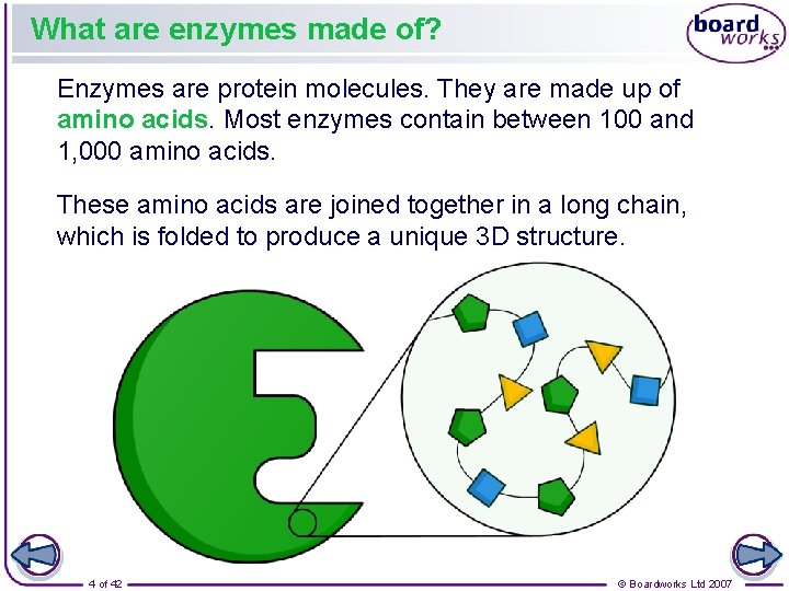 What are enzymes made of? Enzymes are protein molecules. They are made up of