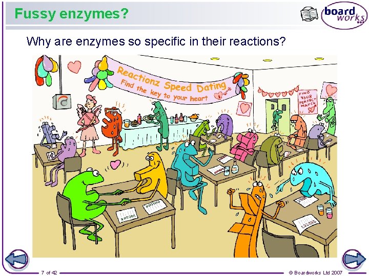 Fussy enzymes? Why are enzymes so specific in their reactions? 7 of 42 ©
