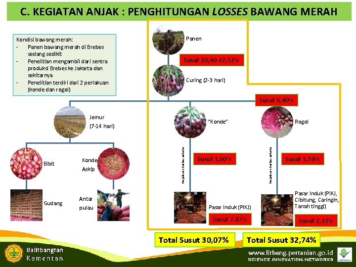 C. KEGIATAN ANJAK : PENGHITUNGAN LOSSES BAWANG MERAH Kondisi bawang merah: - Panen bawang