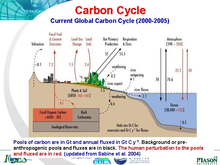 Carbon Cycle Current Global Carbon Cycle (2000 -2005) Pools of carbon are in Gt