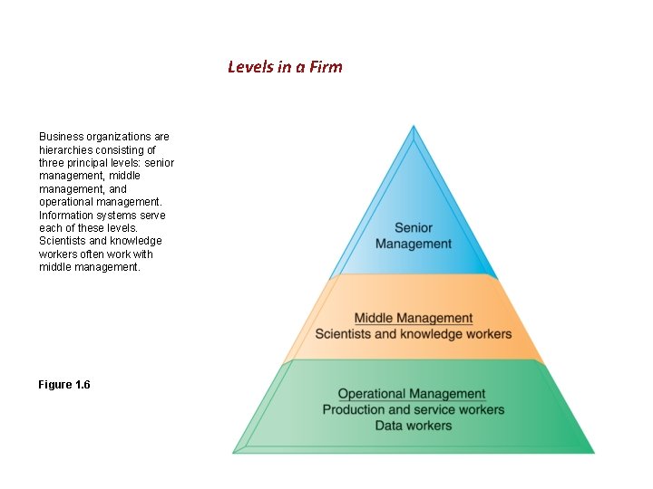 Levels in a Firm Business organizations are hierarchies consisting of three principal levels: senior