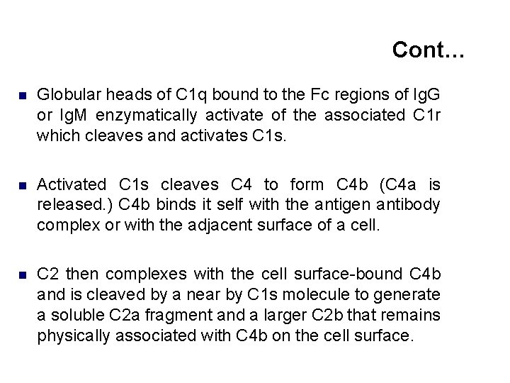 Cont… n Globular heads of C 1 q bound to the Fc regions of