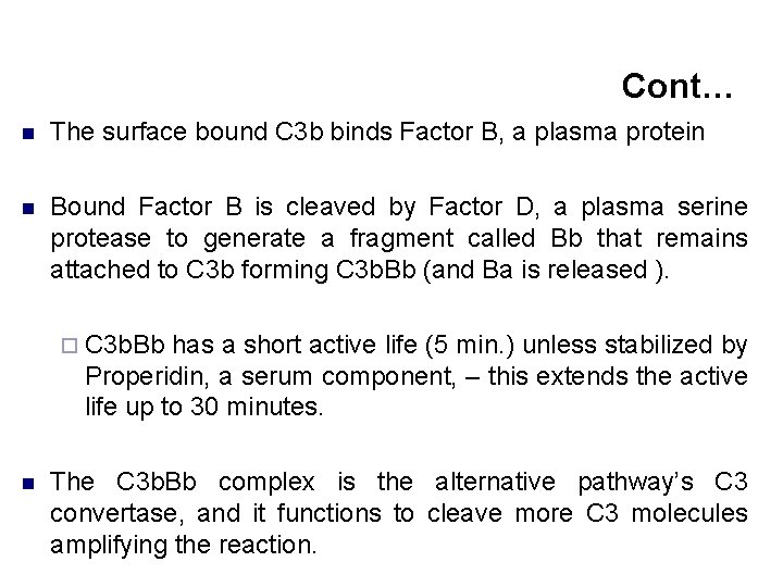 Cont… n The surface bound C 3 b binds Factor B, a plasma protein