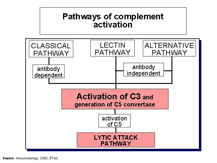 Pathways of complement activation CLASSICAL PATHWAY antibody dependent LECTIN PATHWAY ALTERNATIVE PATHWAY antibody independent