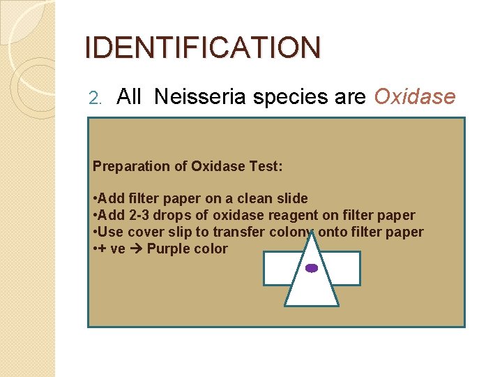 IDENTIFICATION 2. All Neisseria species are Oxidase +ve Preparation of Oxidase Test: • Add