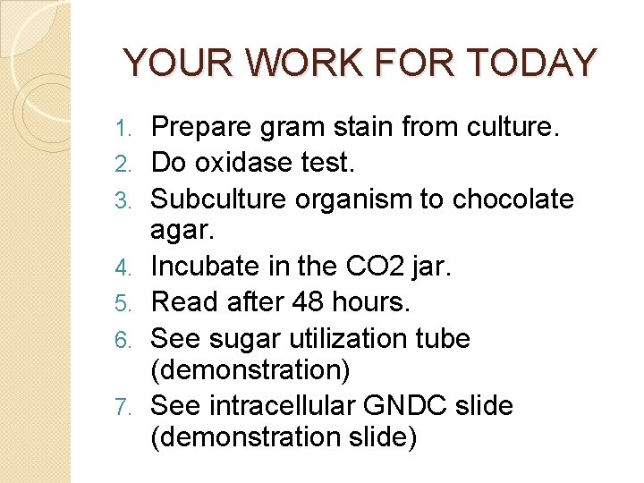 YOUR WORK FOR TODAY 1. 2. 3. 4. 5. 6. 7. Prepare gram stain