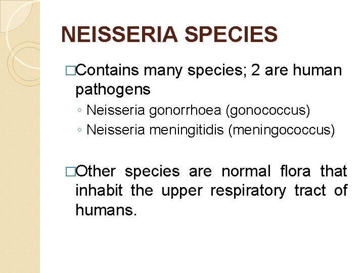 NEISSERIA SPECIES �Contains many species; 2 are human pathogens ◦ Neisseria gonorrhoea (gonococcus) ◦