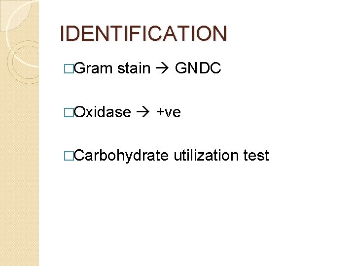 IDENTIFICATION �Gram stain GNDC �Oxidase +ve �Carbohydrate utilization test 