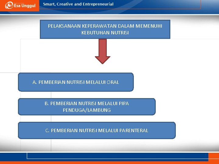 PELAKSANAAN KEPERAWATAN DALAM MEMENUHI KEBUTUHAN NUTRISI A. PEMBERIAN NUTRISI MELALUI ORAL B. PEMBERIAN NUTRISI