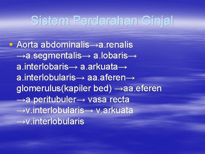 Sistem Perdarahan Ginjal § Aorta abdominalis→a. renalis →a. segmentalis→ a. lobaris→ a. interlobaris→ a.